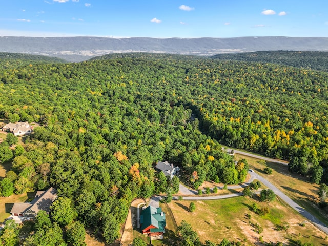 drone / aerial view featuring a mountain view