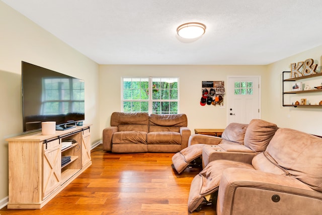 living room with a textured ceiling and light hardwood / wood-style flooring