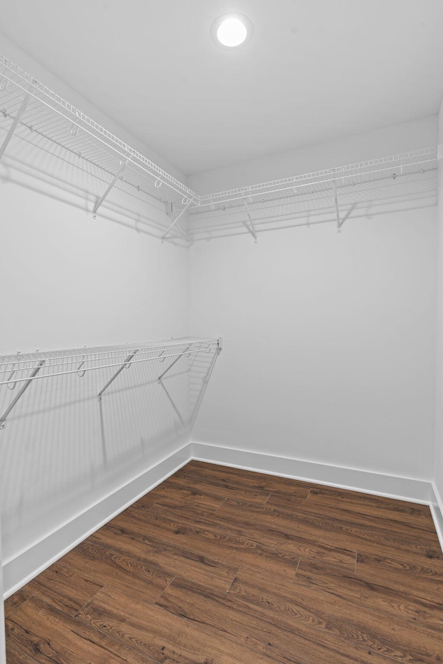 walk in closet featuring hardwood / wood-style floors