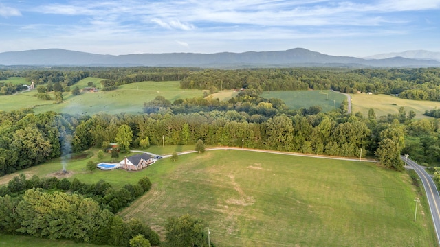 birds eye view of property with a mountain view