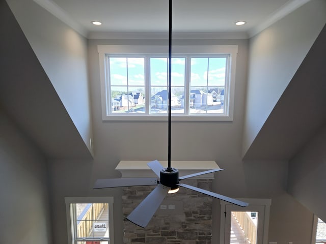 details with crown molding and ceiling fan