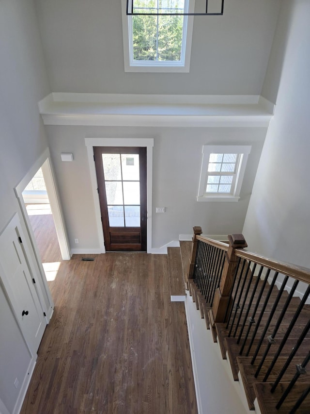 foyer entrance featuring a towering ceiling and dark wood-type flooring