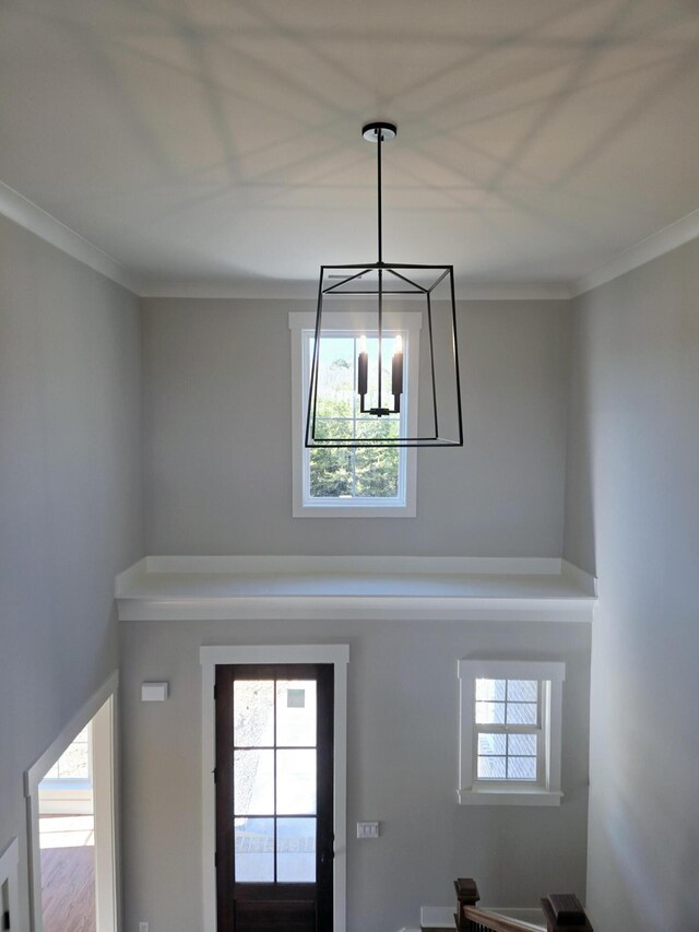 entrance foyer featuring crown molding and a healthy amount of sunlight