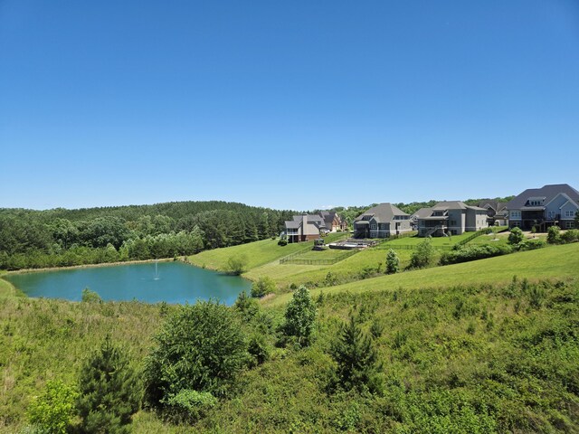 13114 Blakeslee Dr Unit 46, Soddy Daisy, TN 37379 - photo 46