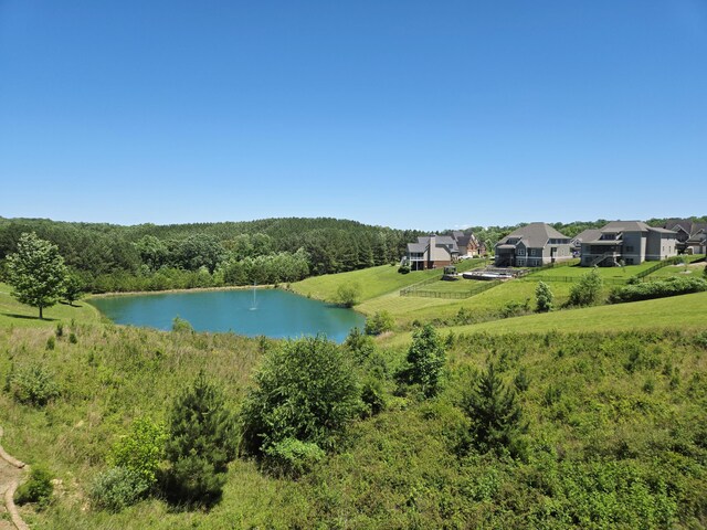 13114 Blakeslee Dr Unit 46, Soddy Daisy, TN 37379 - photo 49