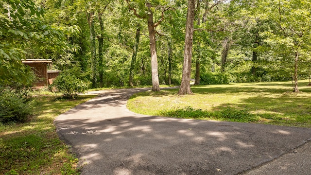 view of property's community with a lawn