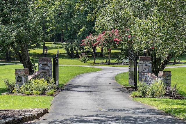 view of property's community with a lawn