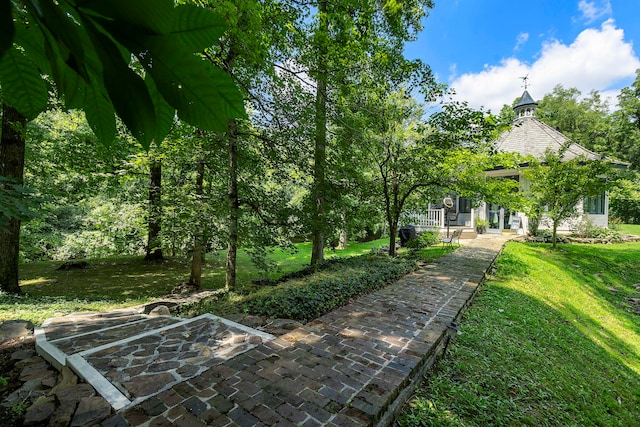 view of yard featuring a patio area