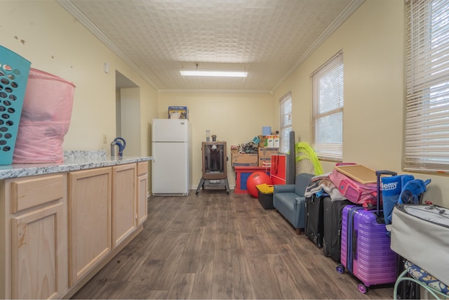 interior space featuring dark wood-style flooring and crown molding