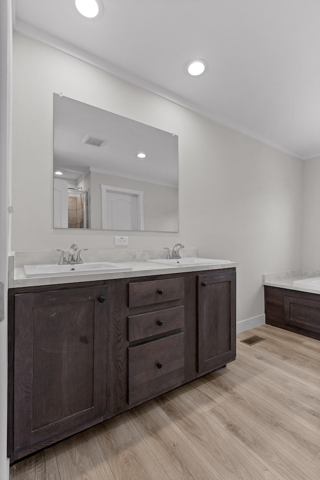 bathroom with hardwood / wood-style flooring and vanity