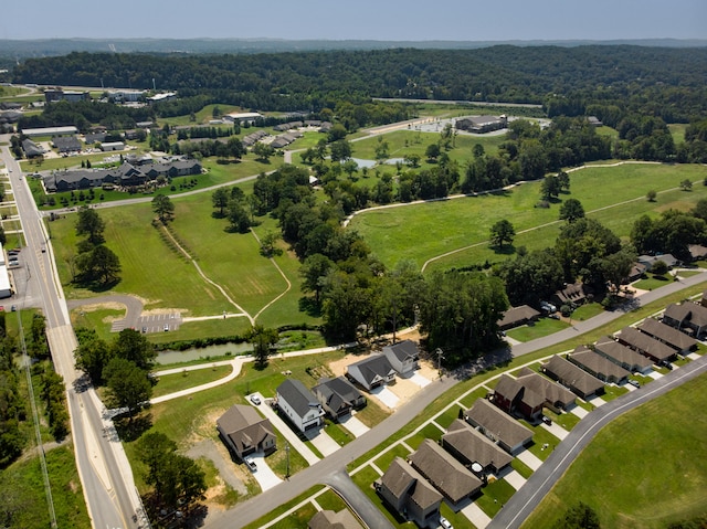 bird's eye view