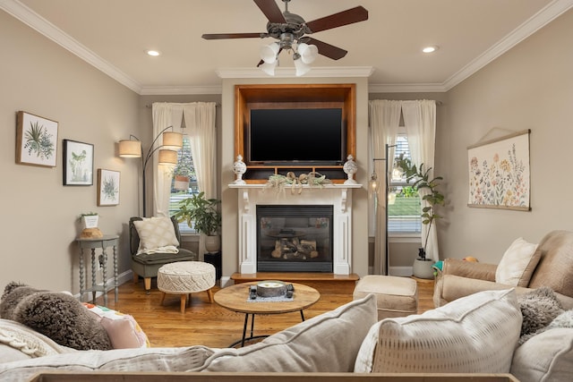 living room featuring crown molding, ceiling fan, and wood-type flooring