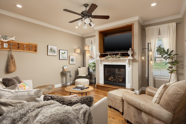 living room with ceiling fan, crown molding, and light hardwood / wood-style flooring