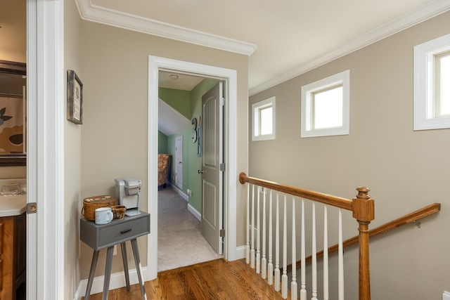 hall featuring crown molding and hardwood / wood-style floors