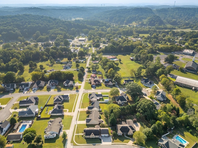 drone / aerial view