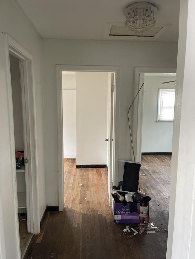 hall featuring attic access and wood finished floors