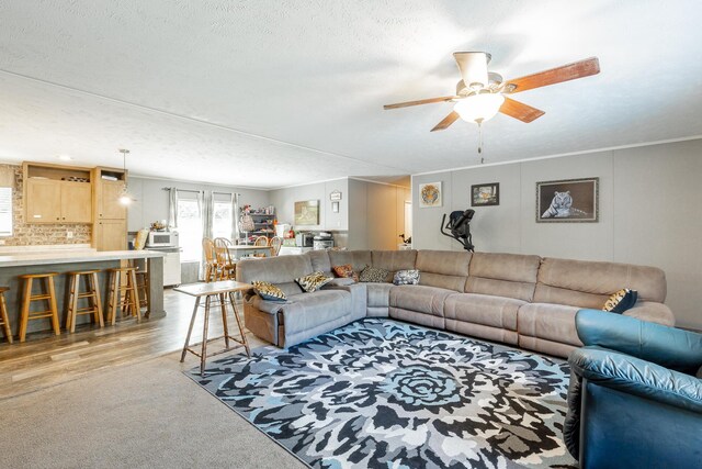 living room featuring a textured ceiling, ceiling fan, ornamental molding, and light hardwood / wood-style floors