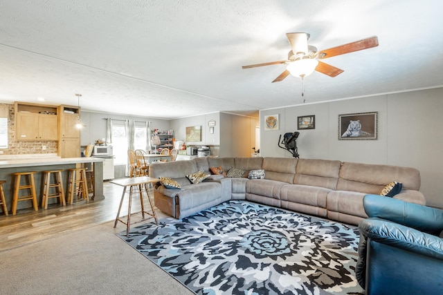 living room featuring a textured ceiling, light wood-type flooring, crown molding, and a ceiling fan