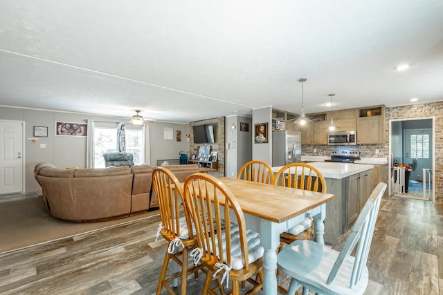 dining area featuring ceiling fan and wood finished floors