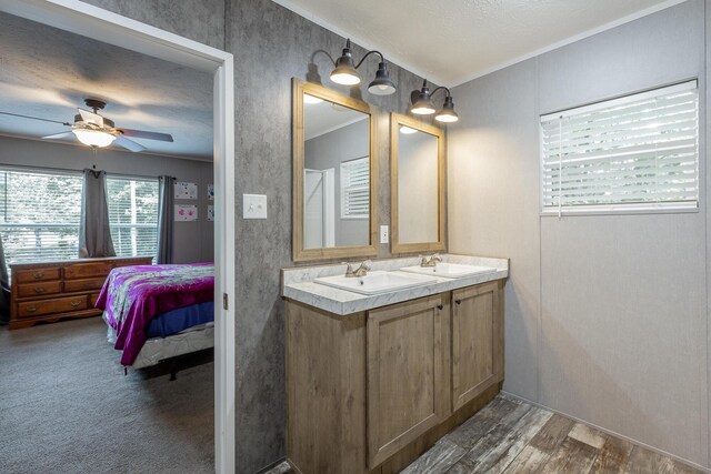 bathroom with a textured ceiling, vanity, wood-type flooring, crown molding, and ceiling fan