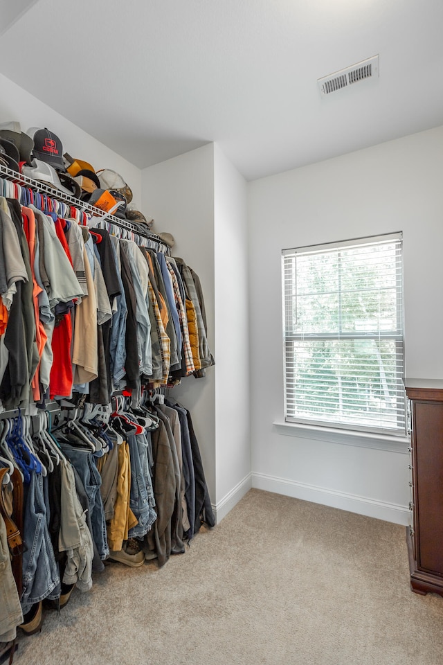 walk in closet featuring carpet