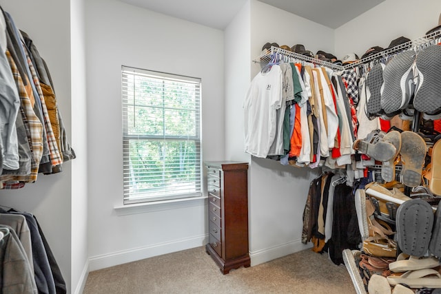 spacious closet with light carpet