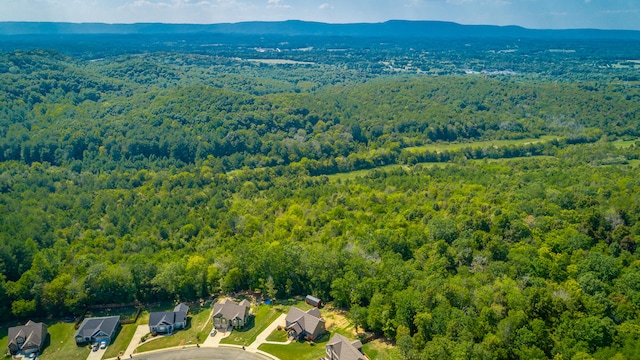 bird's eye view featuring a mountain view