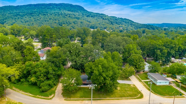 aerial view with a mountain view