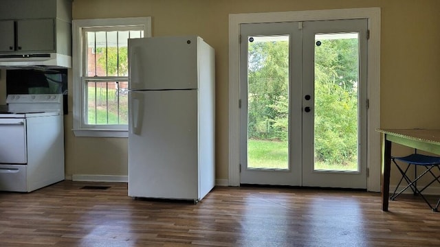 entryway featuring dark hardwood / wood-style floors and a healthy amount of sunlight