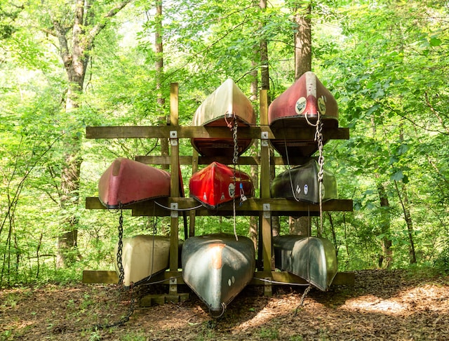 view of jungle gym