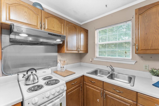 kitchen featuring a wealth of natural light, white range with electric cooktop, crown molding, and sink