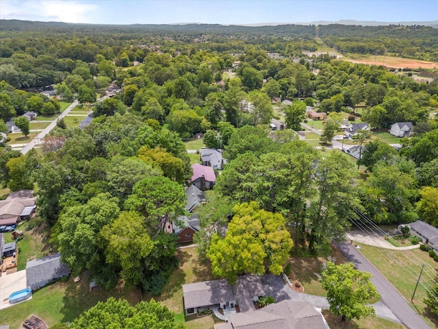 bird's eye view