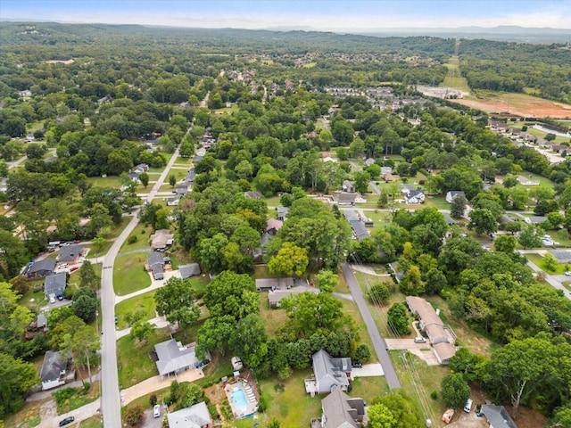 bird's eye view