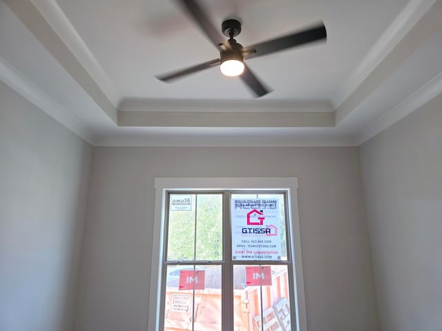 room details with ceiling fan and a tray ceiling