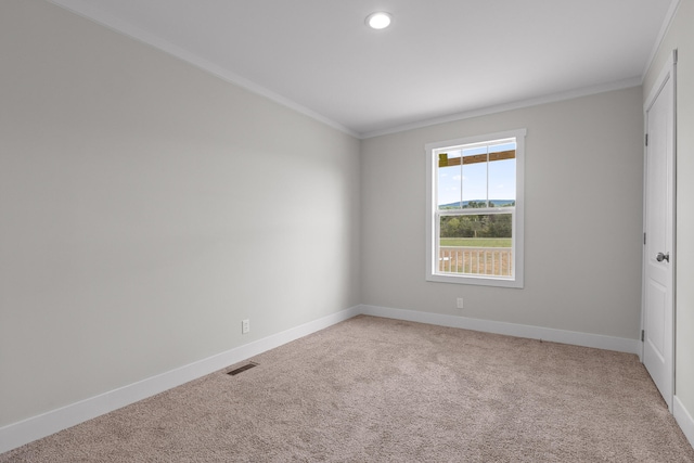 spare room featuring crown molding and carpet flooring