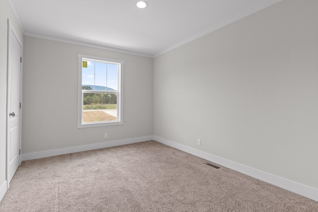 empty room featuring carpet floors and crown molding