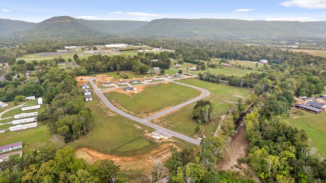 drone / aerial view featuring a mountain view