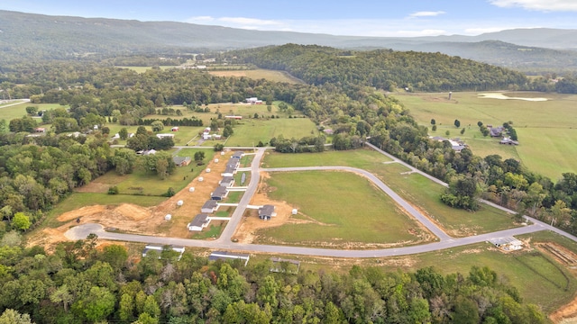 birds eye view of property with a mountain view and a rural view