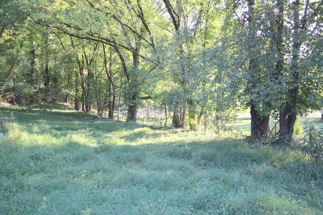 view of landscape