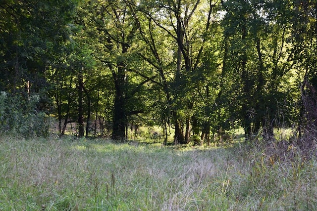 view of local wilderness