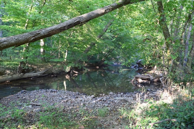 view of local wilderness with a water view