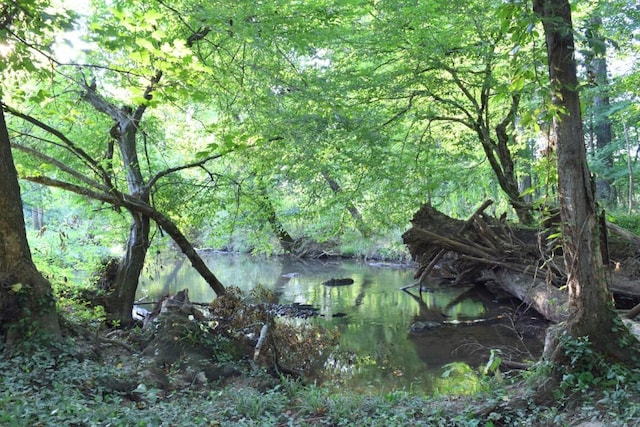 view of nature