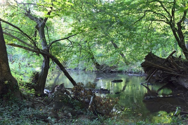 view of water feature