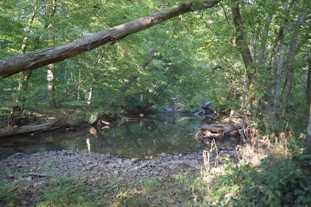 view of nature featuring a water view