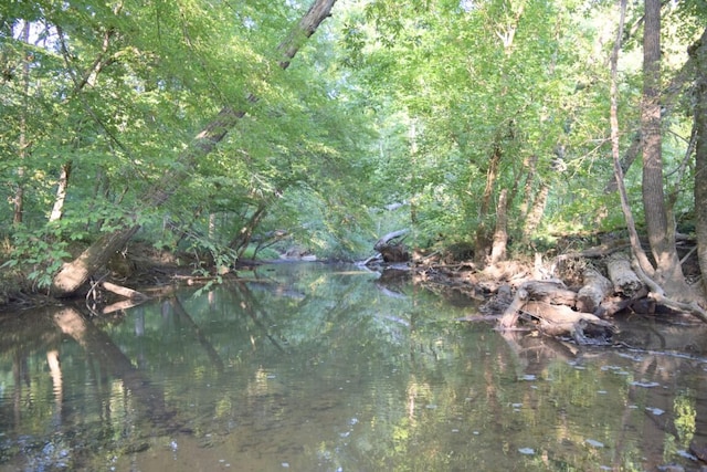 view of local wilderness featuring a water view