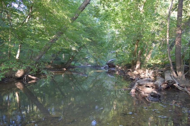 view of local wilderness with a water view