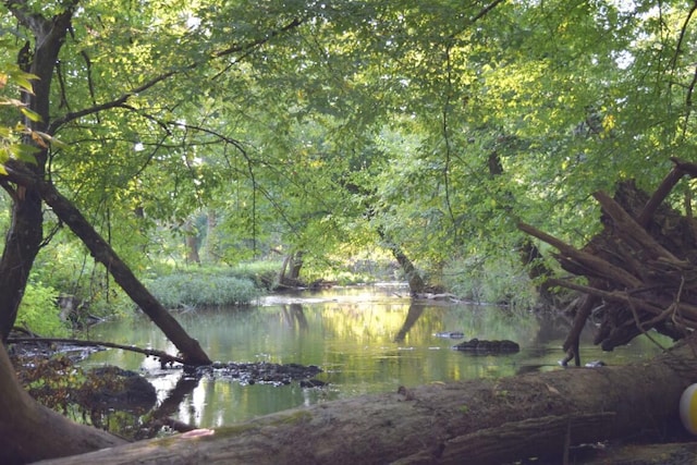 water view