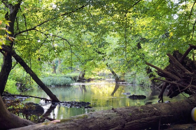 view of water feature