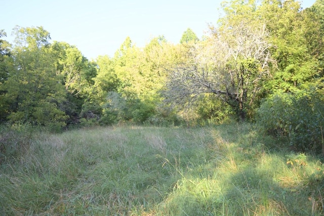 view of landscape