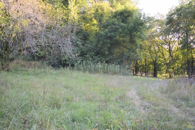 view of local wilderness